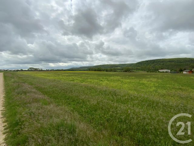 terrain à vendre - 1600.0 m2 - MONTIER EN L ISLE - 10 - CHAMPAGNE-ARDENNE - Century 21 Legout Immobilier terrain à vendre - 1600.0 m2 - MONTIER EN L ISLE - 10 - CHAMPAGNE-ARDENNE - Century 21 Legout Immobilier