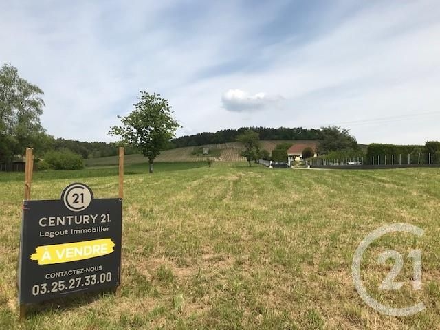 terrain - AILLEVILLE - 10
