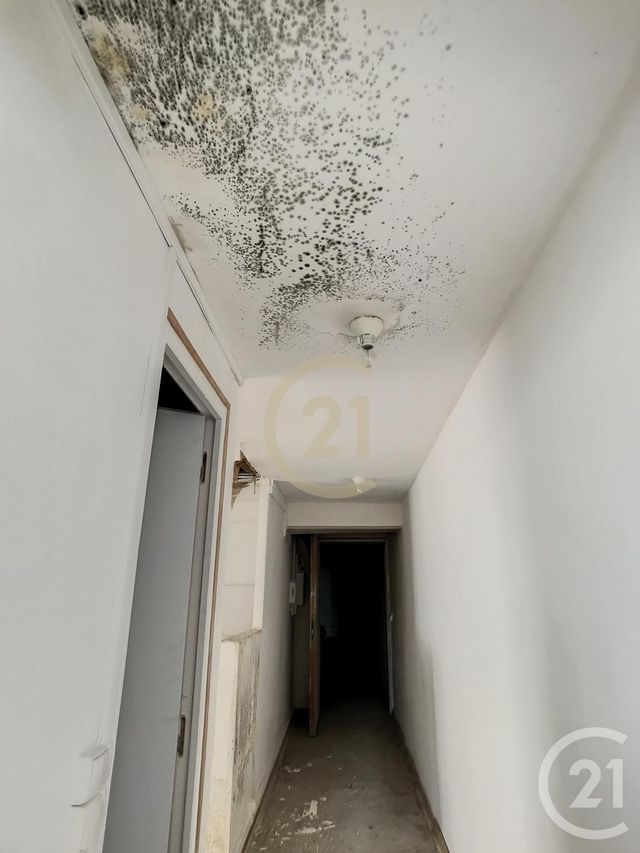 immeuble à vendre - 350.0 m2 - BAR SUR AUBE - 10 - CHAMPAGNE-ARDENNE - Century 21 Legout Immobilier