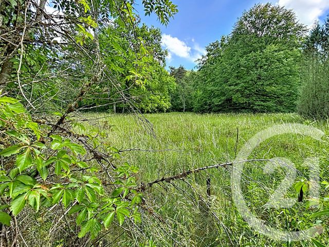 maison à vendre - 9 pièces - 137.0 m2 - VILLE SOUS LA FERTE - 10 - CHAMPAGNE-ARDENNE - Century 21 Legout Immobilier